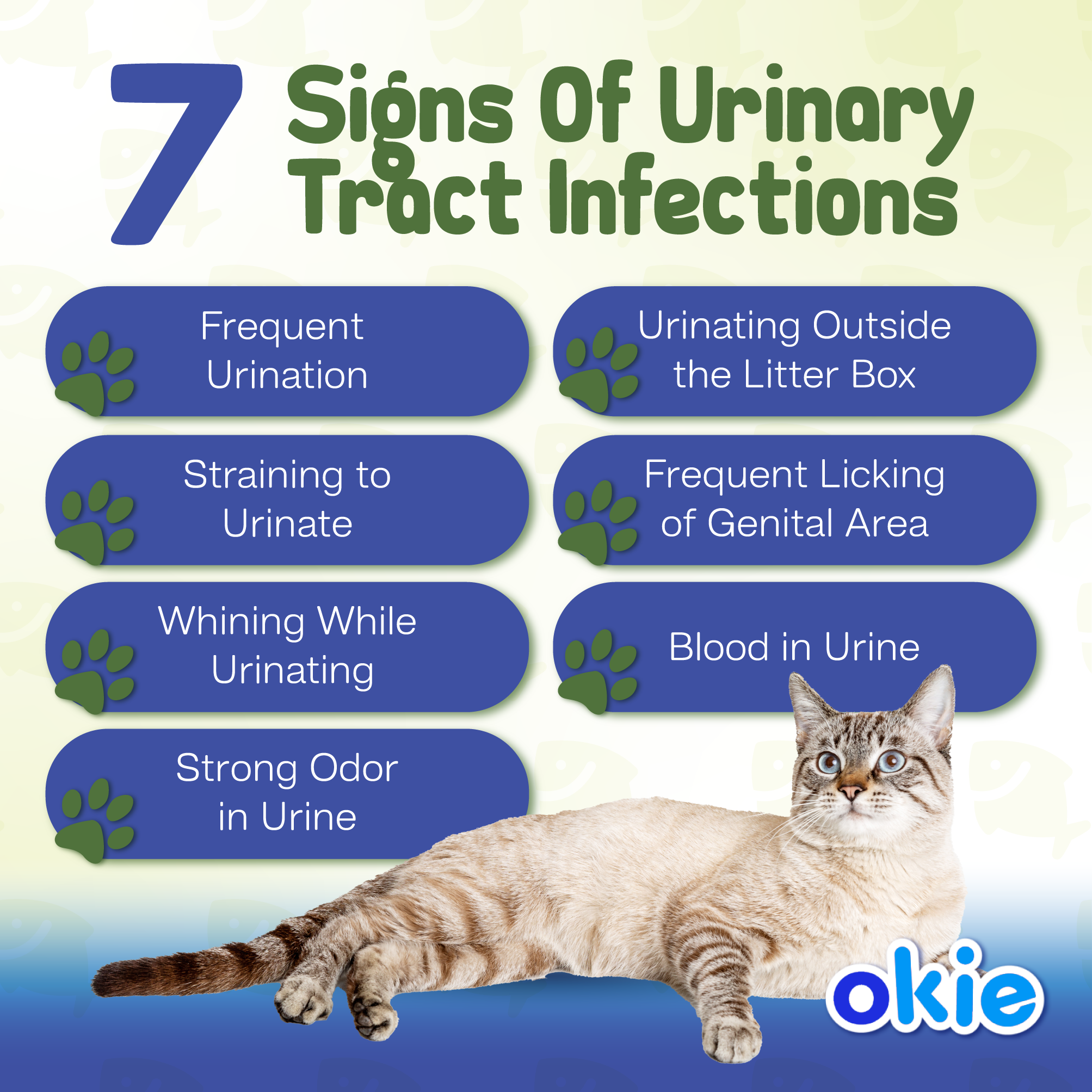 Cat Urinary Tract Noms | Tastiest Cat Urinary Tract Supplement