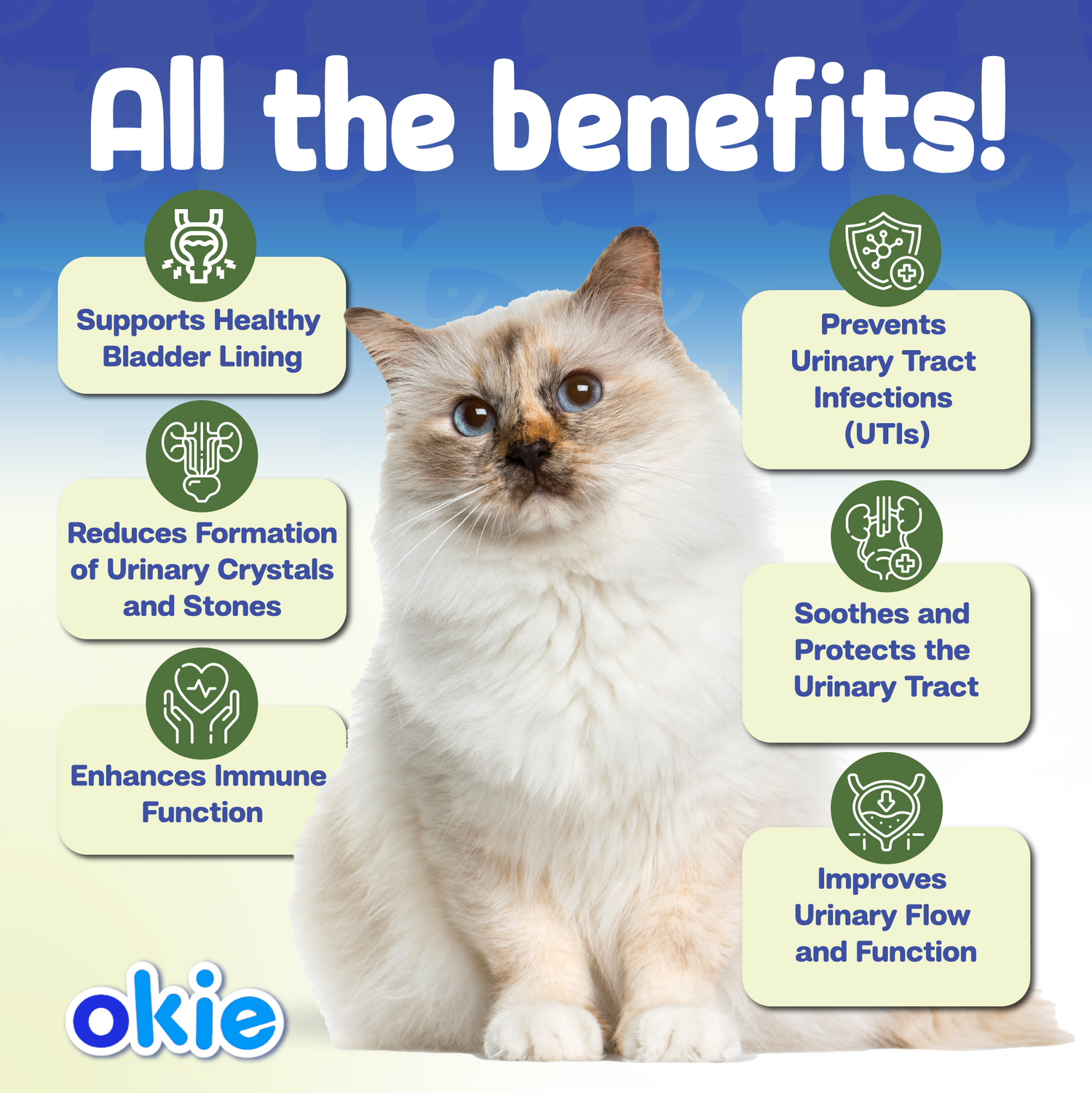 Cat Urinary Tract Noms | Tastiest Cat Urinary Tract Supplement