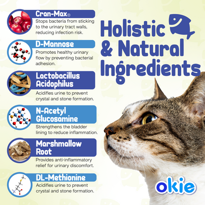 Cat Urinary Tract Noms | Tastiest Cat Urinary Tract Supplement