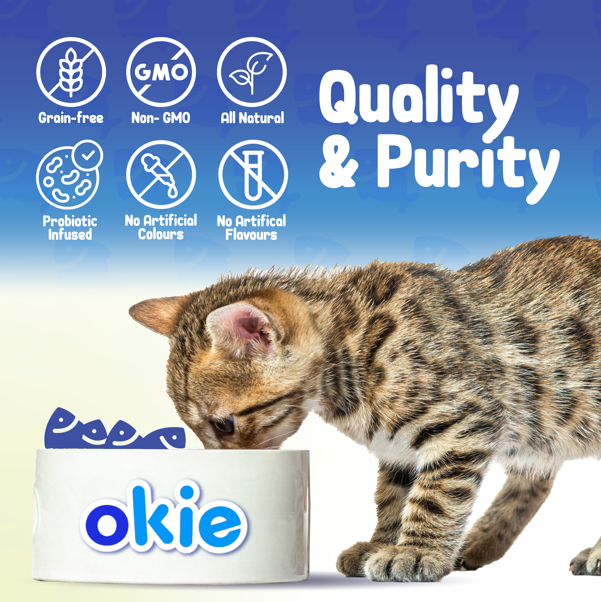 Cat Urinary Tract Noms | Tastiest Cat Urinary Tract Supplement